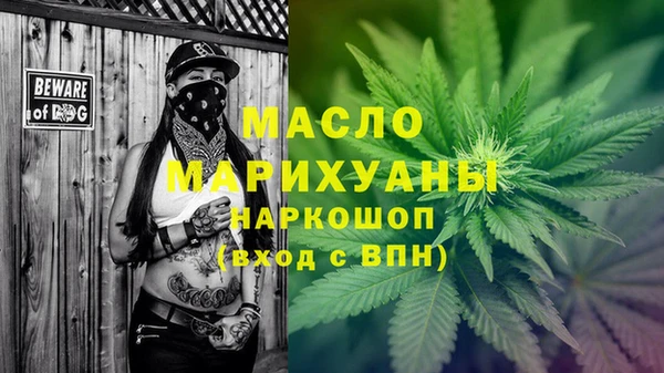 мдпв Рославль